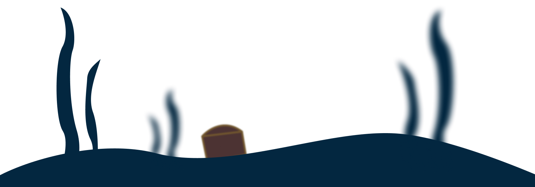 わかめ