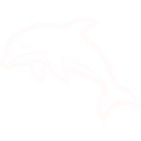 イベント
